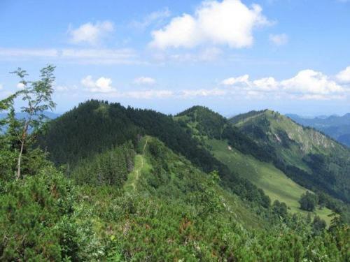 גרוסראמינג Landgasthof Kirchenwirt מראה חיצוני תמונה